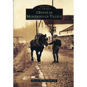 Montigny le Tilleul (l'entité de)