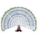 Arbre 8 générations