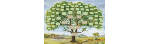 Arbres et fiches